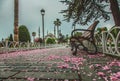 Blooming tree and view of The Sultan Ahmed Mosque Blue Mosque and fountain view from the Sultanahmet Royalty Free Stock Photo