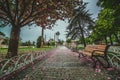 Blooming tree and view of The Sultan Ahmed Mosque Blue Mosque and fountain view from the Sultanahmet Royalty Free Stock Photo