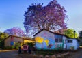 Blooming trees and old houses in Kfar Glikson Royalty Free Stock Photo