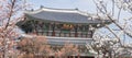 Blooming trees at the Changdeokgung Palace in Seoul