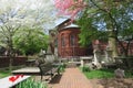 Blooming trees and flowers in church cemetery, Lancaster, PA. Royalty Free Stock Photo