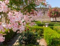 Blooming trees with pink flowers in Pompeii garden, Italy. Blossom and spring concept. Ancient roman backyard with trees and flowe