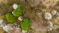 Blooming trees on wild spring meadow, aerial drone view Royalty Free Stock Photo