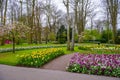 Blooming tulips and daffodils in Keukenhof park, Lisse, Holland, Netherlands.