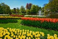 Blooming tulips flowerbed in Keukenhof flower garden, Netherland