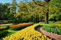 Blooming tulips flowerbeds in Keukenhof flower garden, Netherlan Royalty Free Stock Photo