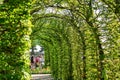 Blooming tulips flowerbeds in Keukenhof flower garden, Netherlands Royalty Free Stock Photo