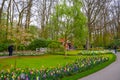 Blooming tulips in Keukenhof park, Lisse, Holland, Netherlands