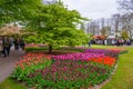 Blooming tulips in Keukenhof park, Lisse, Holland, Netherlands