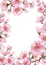 Blooming twig of Japanese sakura. Postcard. Watercolor Royalty Free Stock Photo