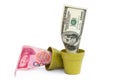 Blooming USD and fade RMB Royalty Free Stock Photo