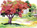 Blooming watercolor spring tree in garden vector illustration