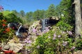 Blooming Waterfall Royalty Free Stock Photo