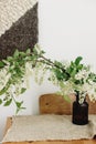 Blooming white branches in brown glass jar on rustic wooden table. Spring Bird cherry flowers, rural still life. Countryside Royalty Free Stock Photo