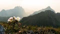 Blooming white flowers in the foreground of the landscape of Mountains, clouds with sunray and dusk near the sunset. Royalty Free Stock Photo