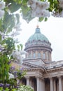 Blooming white and lilac lilac on the background of the dome of the cathedral ,St. Petersburg Royalty Free Stock Photo