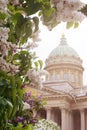 Blooming white and lilac lilac on the background of the dome of the cathedral ,St. Petersburg, Kazan Cathedral, spring Royalty Free Stock Photo