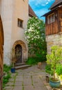 blooming white lilac bushes in city of meissen germany