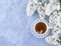 Blooming white lilac Cup and saucer on a gray background. The concept of good morning. flat lay. copyspase