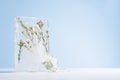 Blooming white sakura flowers frozen with green leaves in transparent ice rectangle block in sun beam on frosty light blue wall. Royalty Free Stock Photo