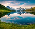 Blooming white tiny flowers on the shore of lake. Nice morning view of Bachalp lake Bachalpsee, Switzerland. Wonderful summer sc Royalty Free Stock Photo