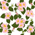 Blooming wild rose pattern