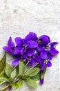 Blooming wild violets flowers on wood background