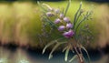 blooming willow by the lake