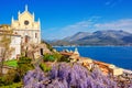 Blooming wisteria flowers in Gaeta old town, Italy Royalty Free Stock Photo