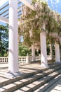 Blooming wisteria lilac vine blossoms climbing along the top of pavilion and its white stone columns on a sunny spring day. Royalty Free Stock Photo