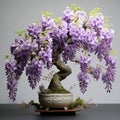 Detailed Wisteria Bonsai Tree With Graceful Curves Royalty Free Stock Photo
