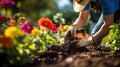 blooms planting flowers