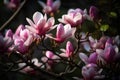 Bloomy magnolia tree flowers. Generate Ai Royalty Free Stock Photo