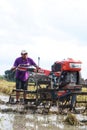 A farmer is tiring a rice field