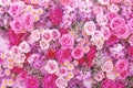 Blossom background of colorful roses daisy and orchid decorative for  wallpaper Royalty Free Stock Photo