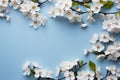 Blossom beauty White flowering branches create a stunning spring border