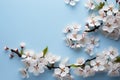 Blossom beauty White flowering branches create a stunning spring border