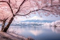 Blossom Bliss: Captivating Cherry Blossom Scenery Along the Road Royalty Free Stock Photo