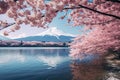 Blossom Bliss: Captivating Cherry Blossom Scenery Along the Road Royalty Free Stock Photo