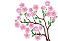 Blossom Branch.