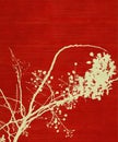 Blossom Branch Print on Red Background