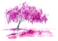 Blossom cherry tree,lake and swing. Royalty Free Stock Photo