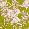 Blossom Chestnut Seamless Spring Background