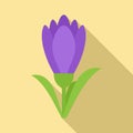 Blossom crocus icon, flat style