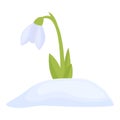 Blossom flora icon cartoon vector. Spring flower