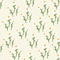 Blossom floral seamless pattern with daisy. Blooming botanical motifs scattered random. White chamomile vector texture Royalty Free Stock Photo