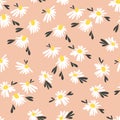 Blossom floral seamless pattern with daisy. Blooming motifs scattered random. Flowers on pink background Royalty Free Stock Photo