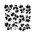 Blossom floral vector collection. Blooming botanical motifs clip art elements. Hand drawn ink brush illustration.