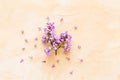 Blossom lilac flowers - spring branches top view