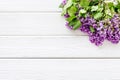 Blossom lilac flowers - spring branches top view